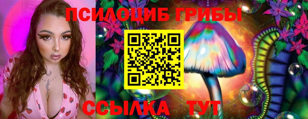 Протвино  Псилоцибиновые грибы ЛСД  Псилоцибиновые грибы Magic Shrooms  Вход с VPN 